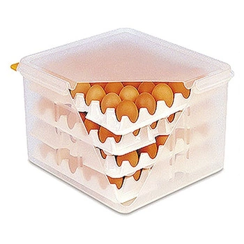 Nádoba na vejce GN 2/3, 35.5x32.5x20 cm | CONTACTO 8033/023