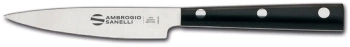 Univerzální nůž Hasaki, délka 20 cm | AMBROGIO SANELLI H582.010