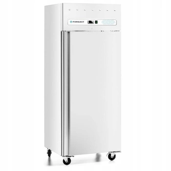 Chladicí skříň 1-dveřová GN 2/1 685 l, lakovaná, bílá | FORGAST FG07265