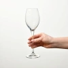 Skleničky na Prosecco, Harmony, 300 ml - sada 6 kusů | KROSNO F57B576028004020