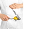 Vymačkávač citronů, limetek | FORGAST FG11442