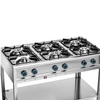 Gastronomická plynová kuchyně 6-hořáková, 34,4 kW | FORGAST FG09456