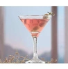 Sklenice na martini Bistro 175 ml | MODERMO MG008