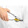 Vymačkávač citronů, limetek | FORGAST FG11442